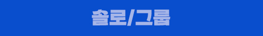 솔로