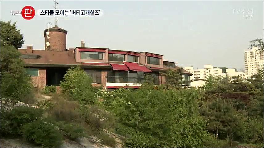 한국판 베버리힐즈 '버티고개힐즈'…스타들이 모이는 이유는?