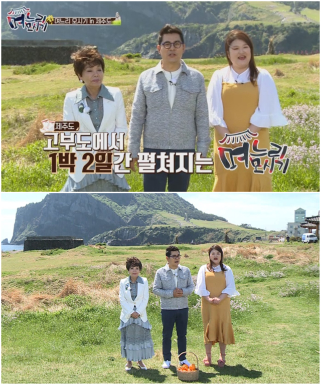 '며느리 모시기' 시어머니들, 바다 건너 제주도 간 까닭은?