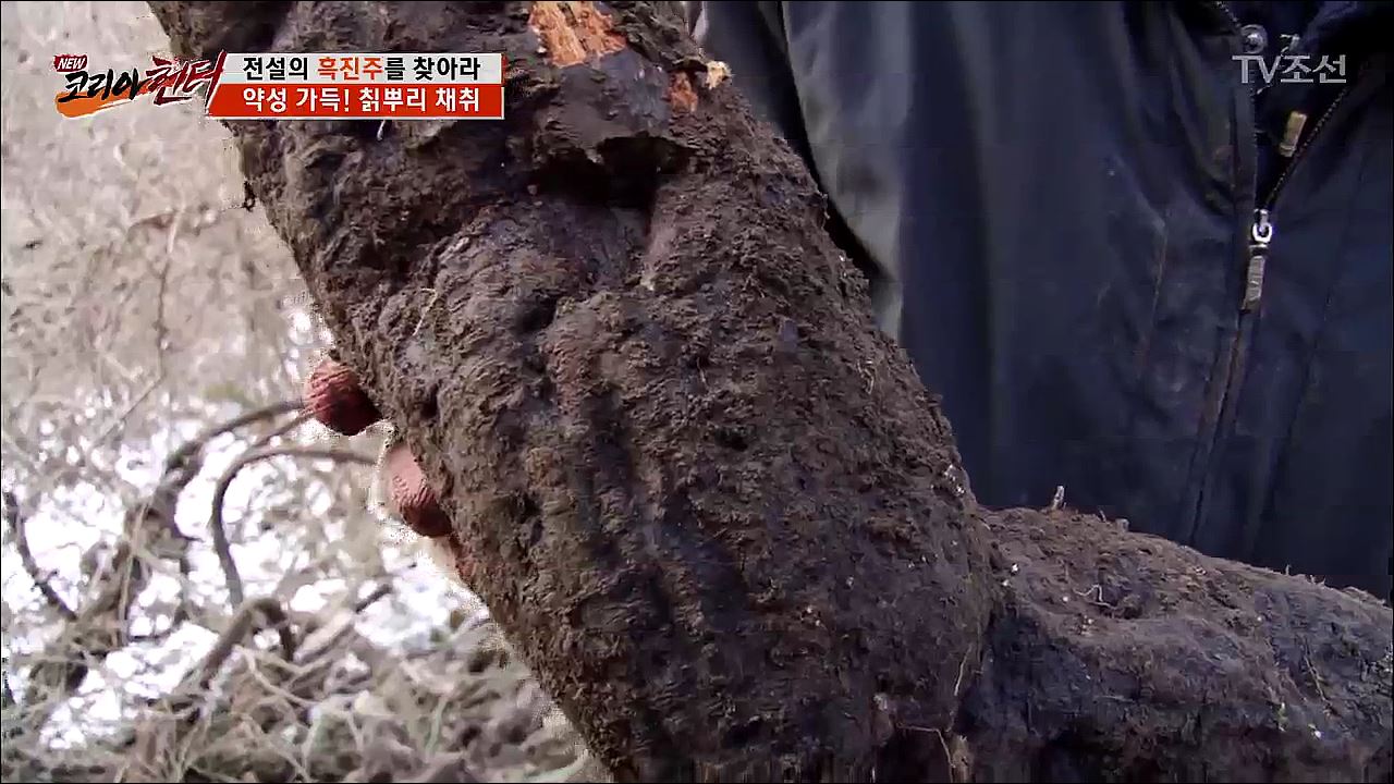 NEW 코리아 헌터 38회