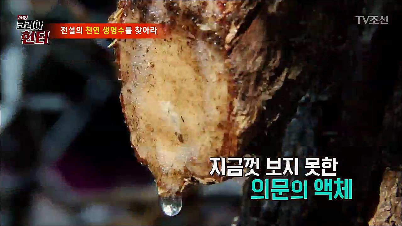 NEW 코리아 헌터 42회