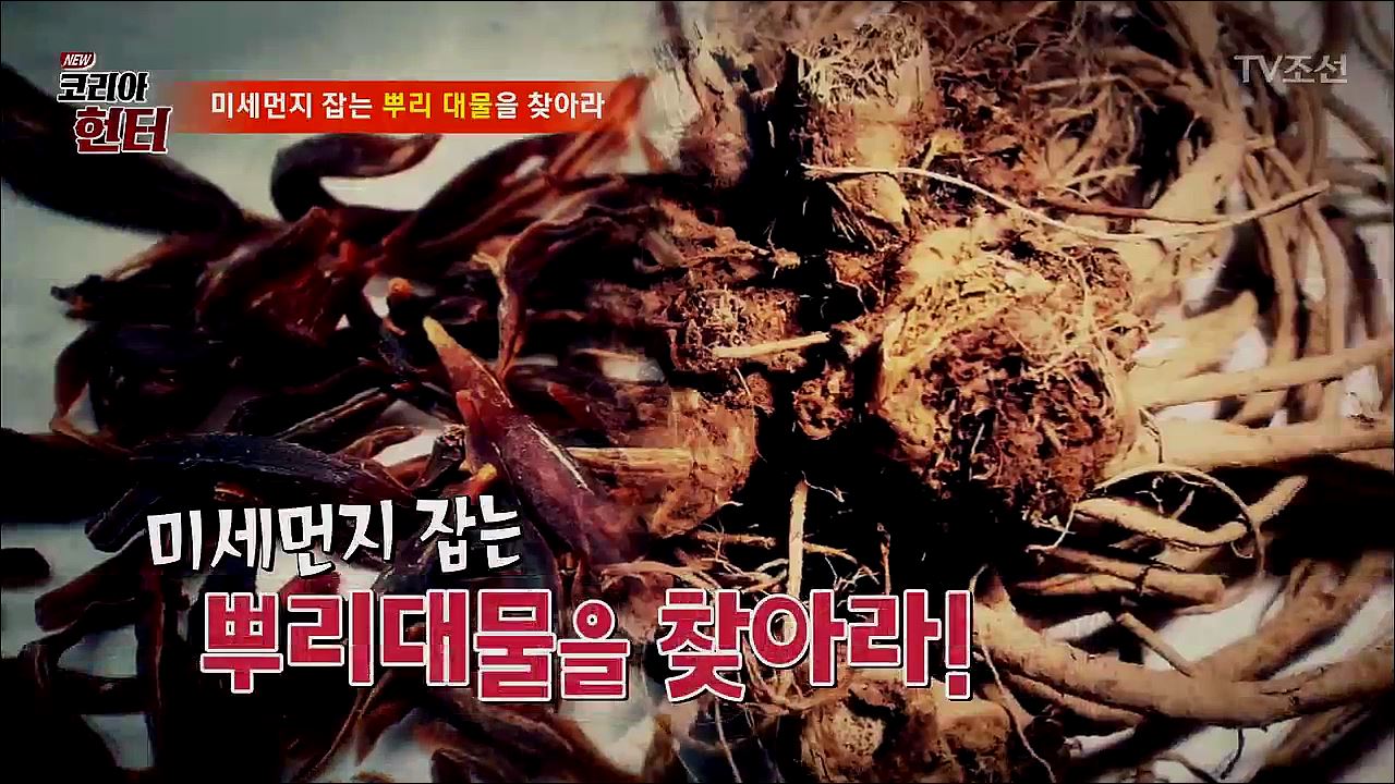 NEW 코리아 헌터 45회