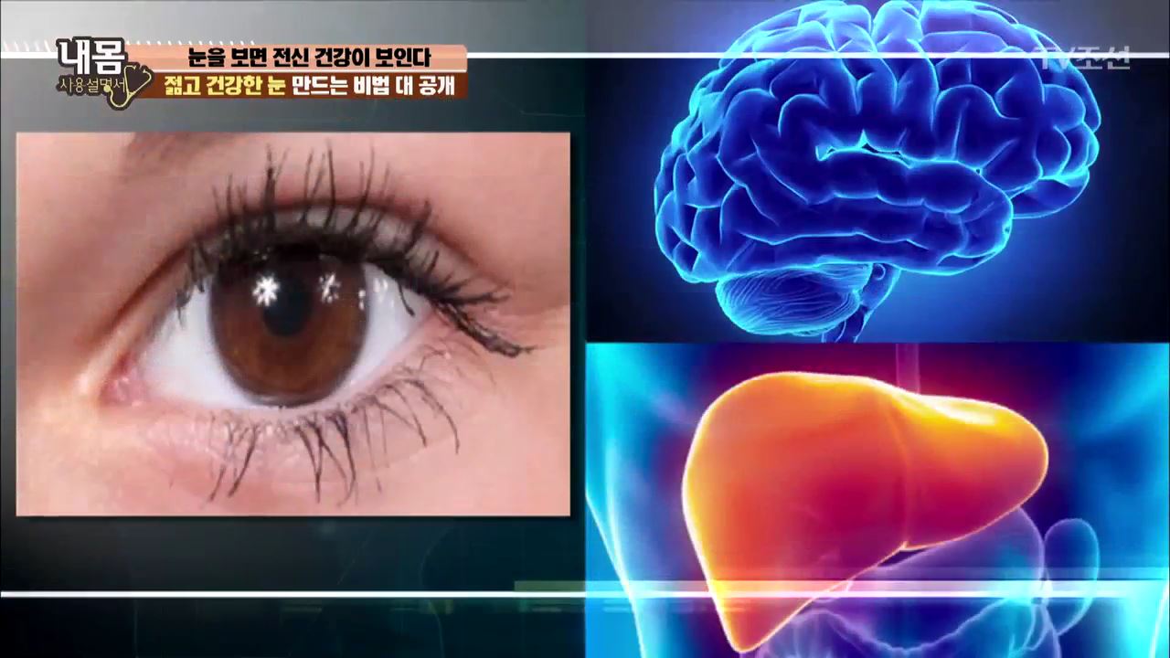 내 몸 사용 설명서 150회