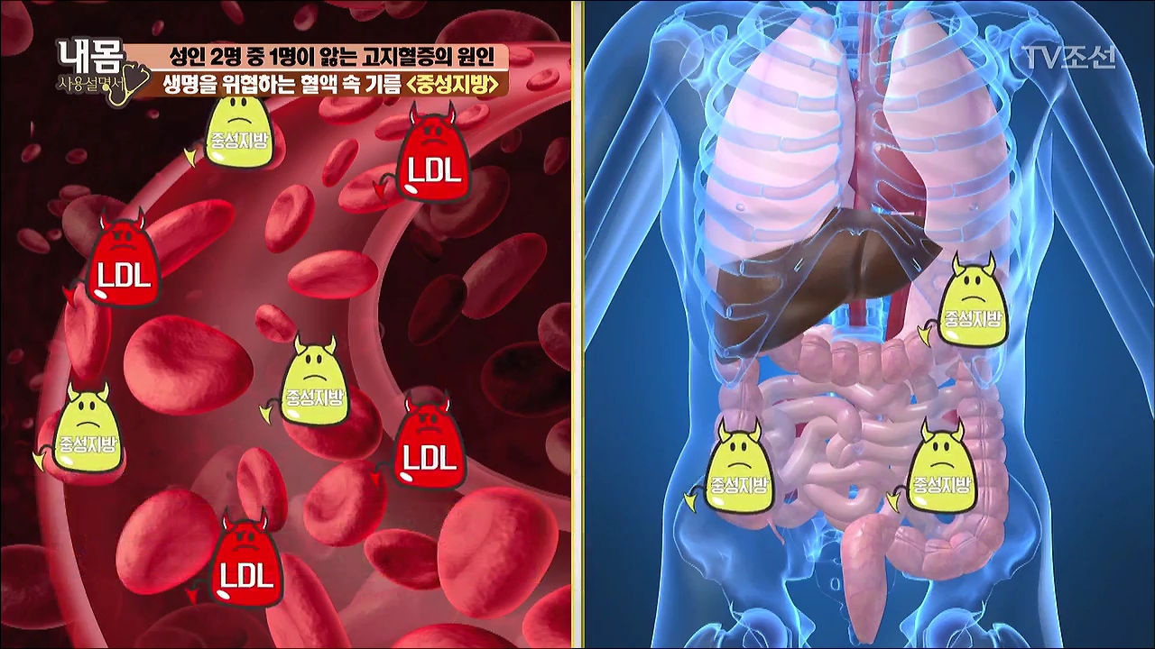 내 몸 사용 설명서 155회