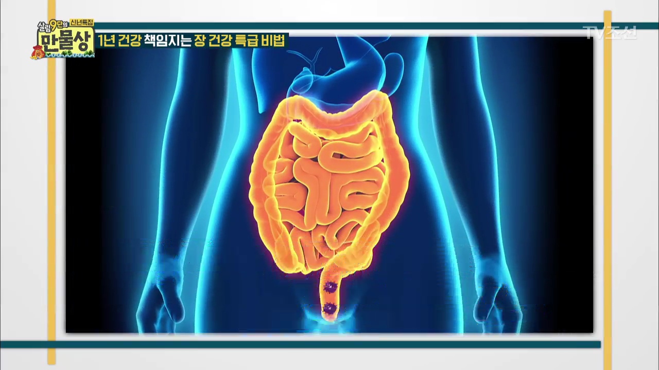 살림9단의 만물상 226회