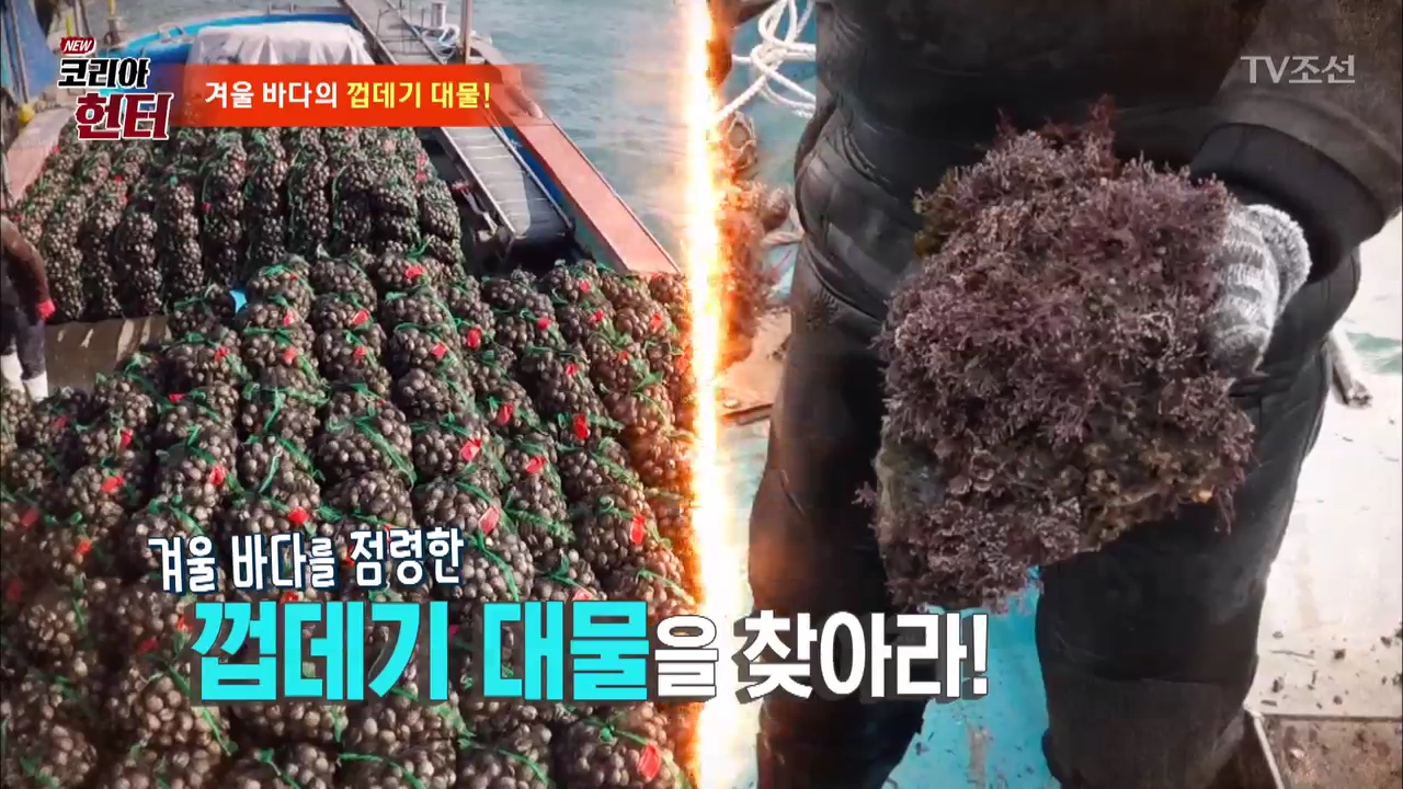 NEW 코리아 헌터 84회