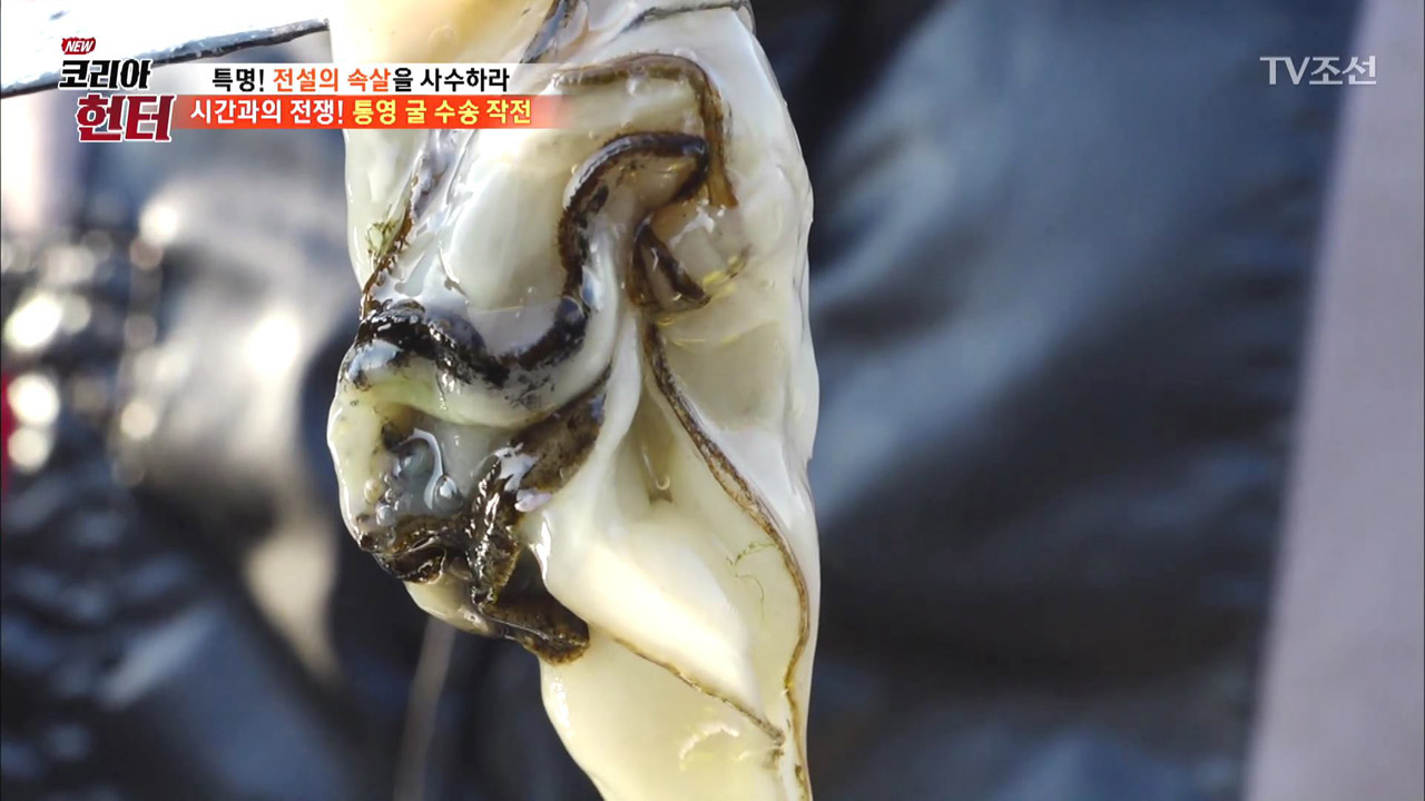 NEW 코리아 헌터 91회