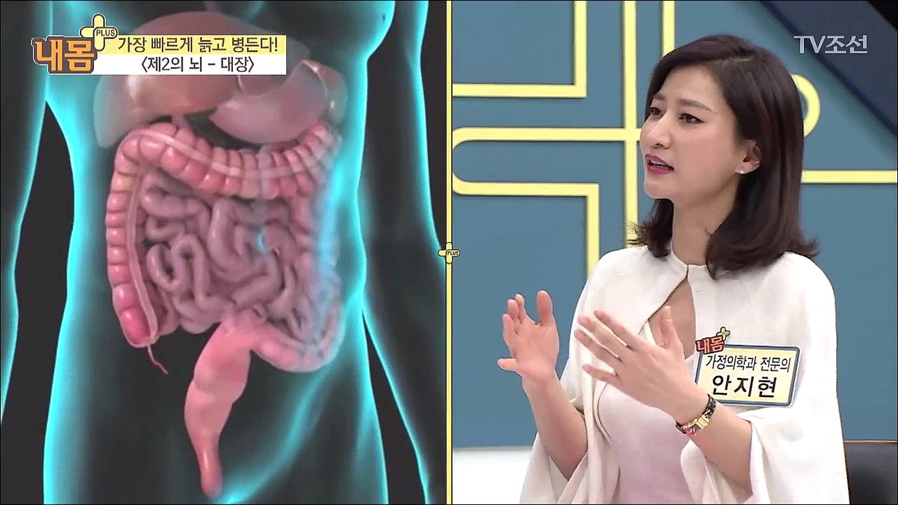 내 몸 플러스 95회