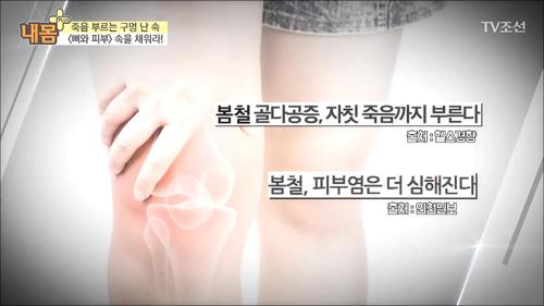 내 몸 플러스 98회