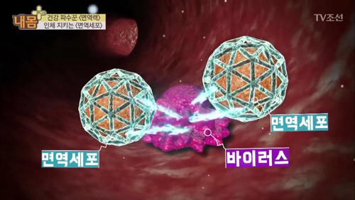 내 몸 플러스 101회