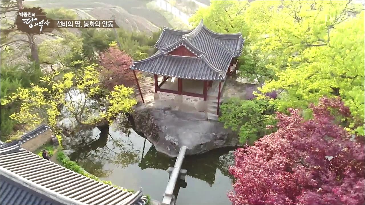 박종인의 땅의 역사 49회
