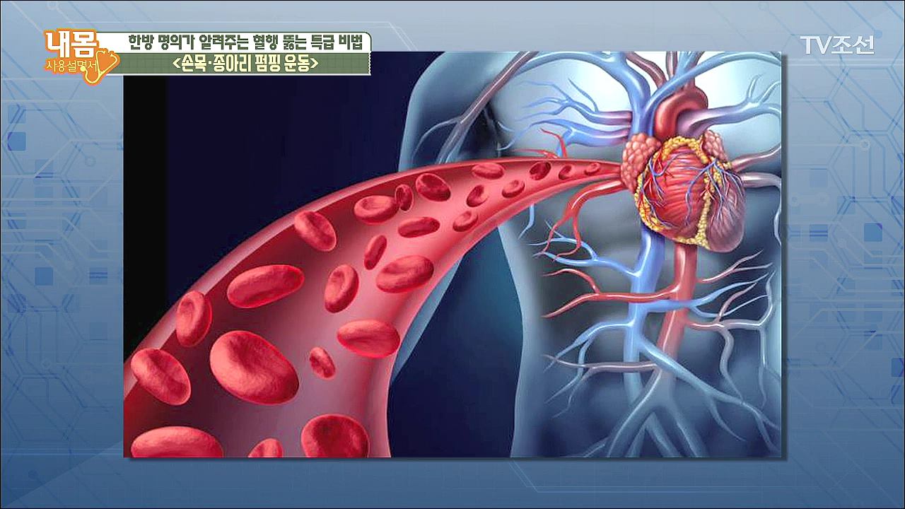 내 몸 사용 설명서 206회