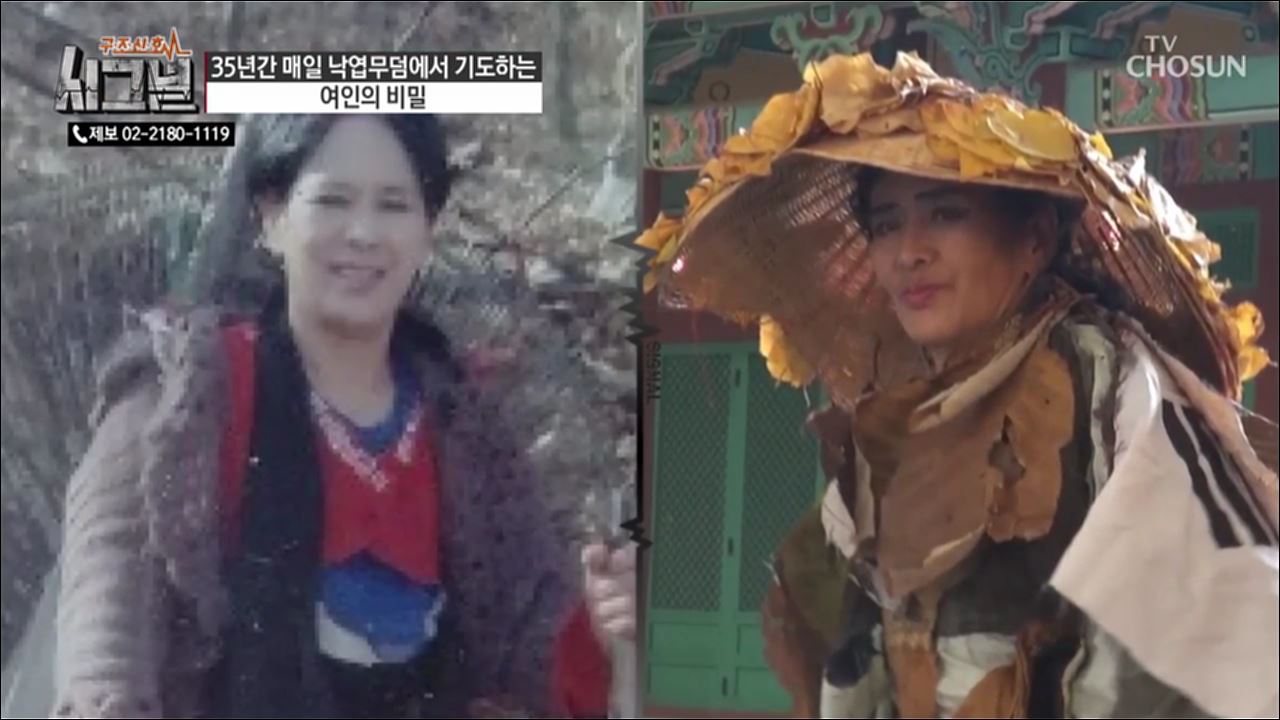 시그널 50회
