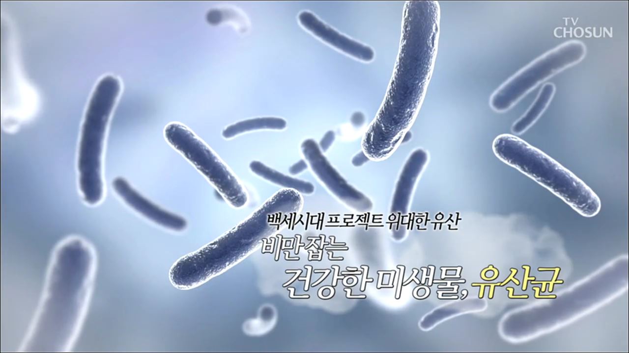 백세시대 프로젝트 위대한 유산 6회