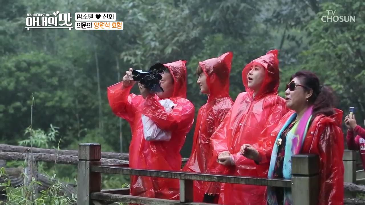 아내의 맛 25회