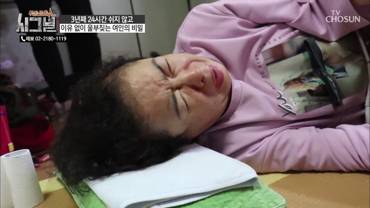시그널 52회