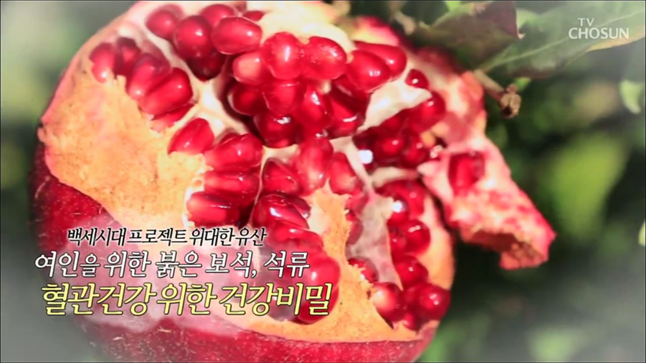 백세시대 프로젝트 위대한 유산 9회
