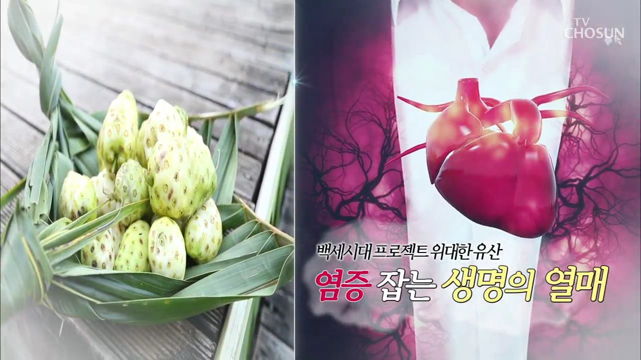백세시대 프로젝트 위대한 유산 10회