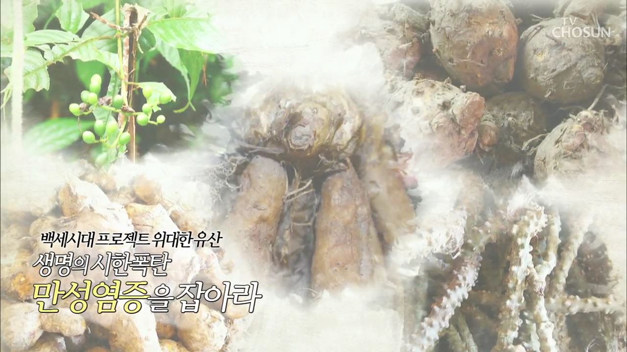 백세시대 프로젝트 위대한 유산 12회