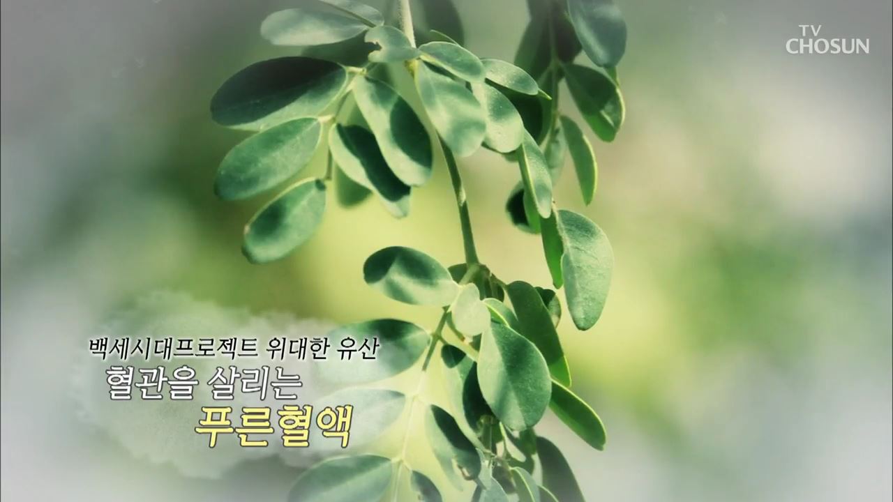 백세시대 프로젝트 위대한 유산 14회