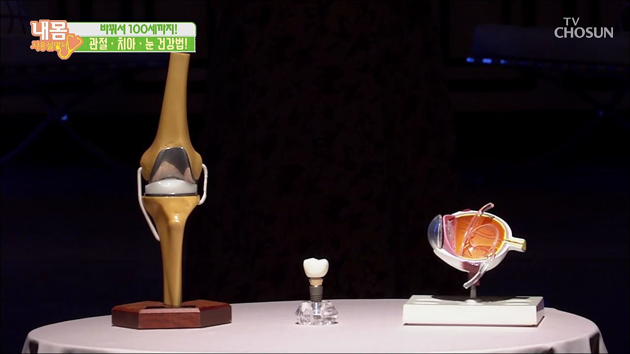 내 몸 사용 설명서 246회