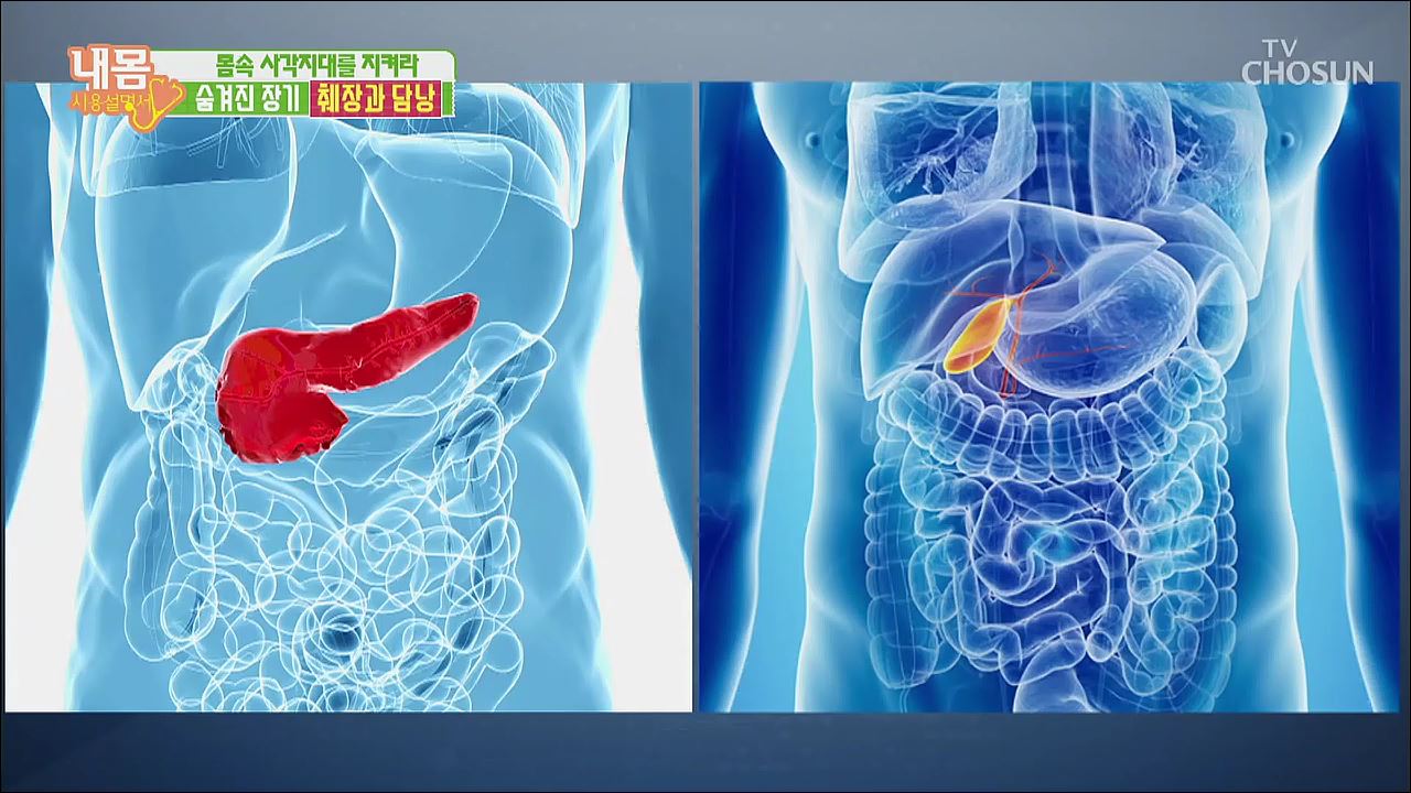 내 몸 사용 설명서 253회