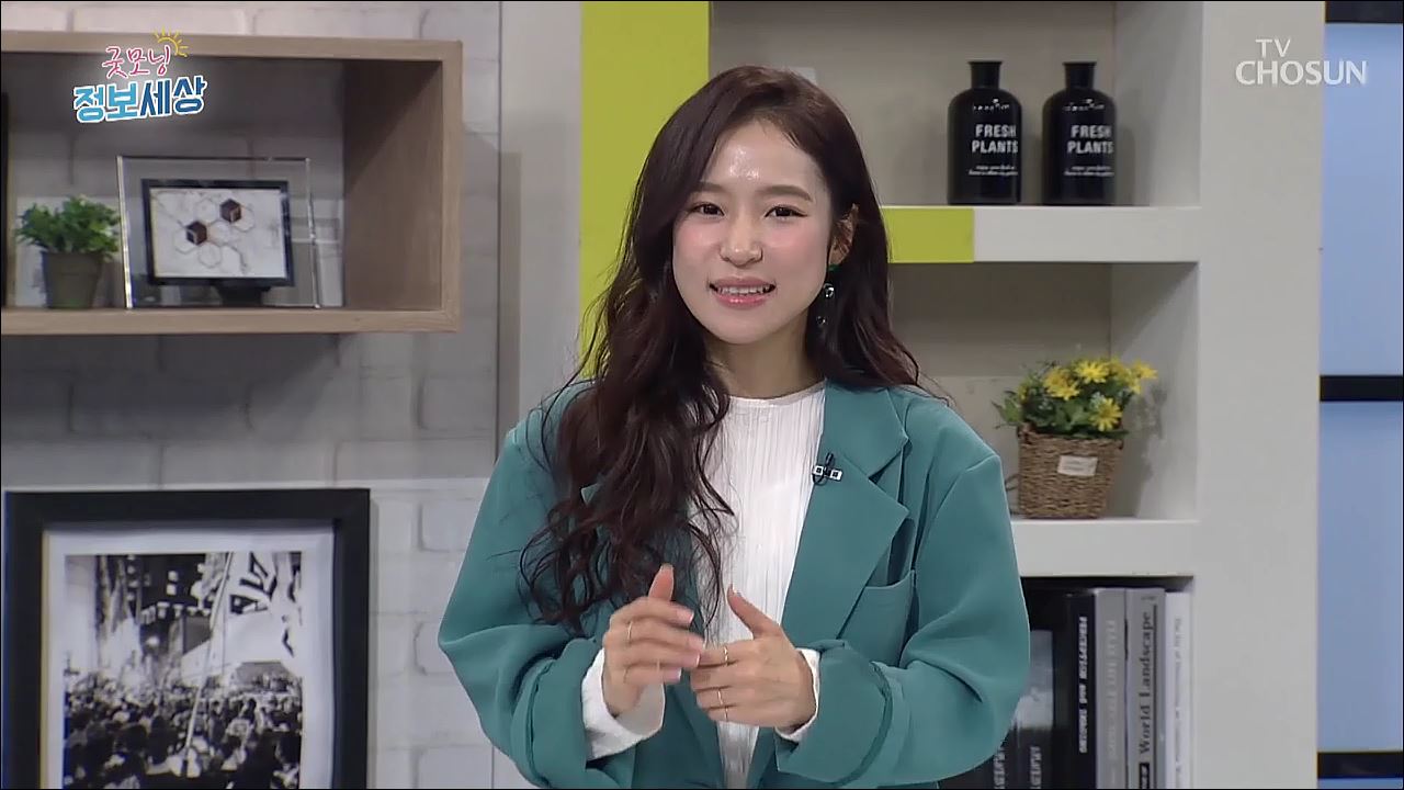 굿모닝 정보세상 8회  