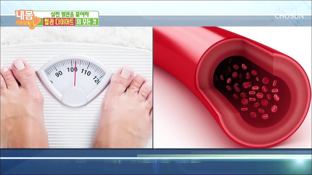 내 몸 사용 설명서 254회