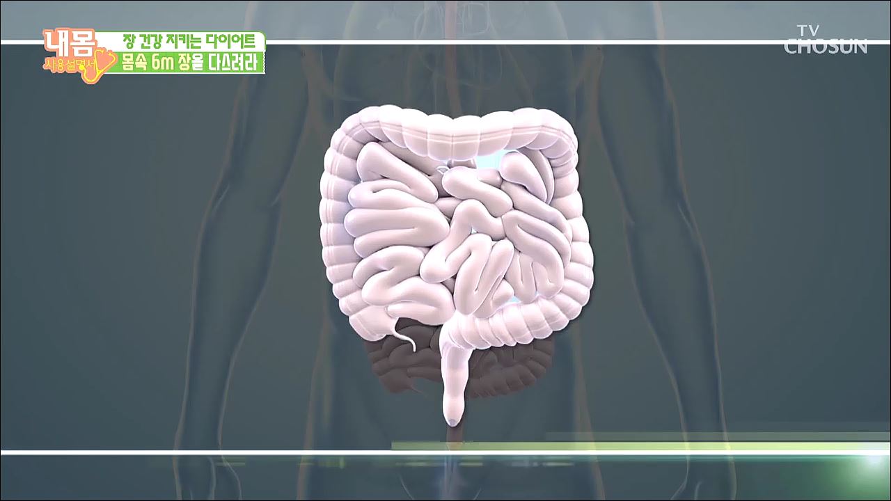 내 몸 사용 설명서 259회