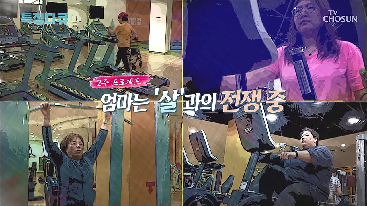 43.[2주 다이어트 프로젝트]뚱보 엄마들의 살과의 전쟁새싹보리