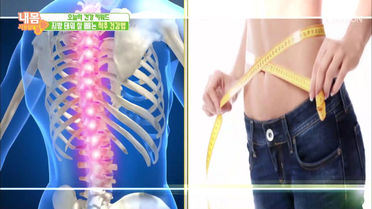 내 몸 사용 설명서 261회