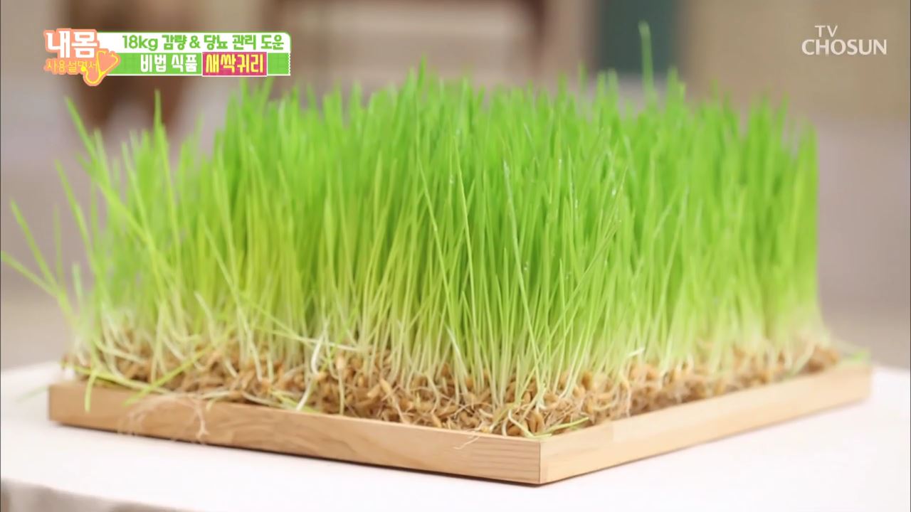  내 몸 사용 설명서 263회  