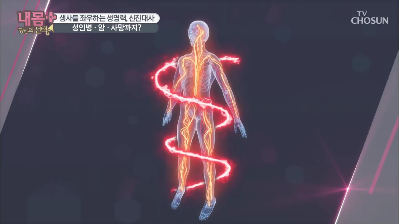  내 몸 플러스 158회  