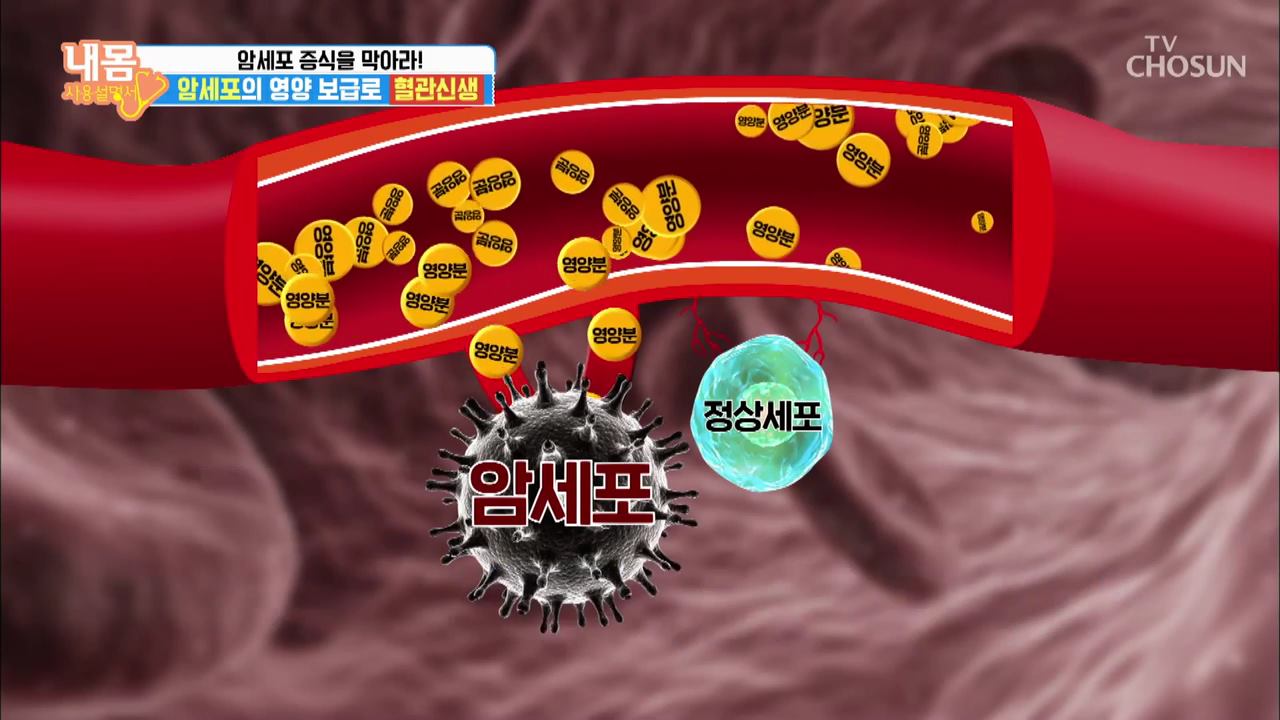 내 몸 사용 설명서 265회