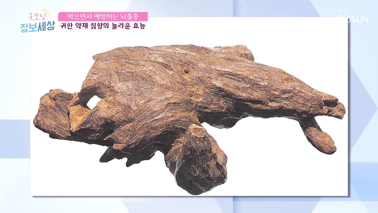 굿모닝 정보세상 62회
