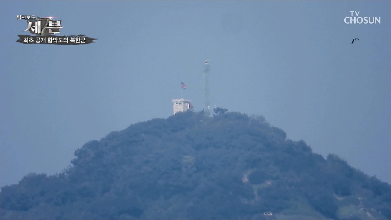 탐사보도 세븐 79회