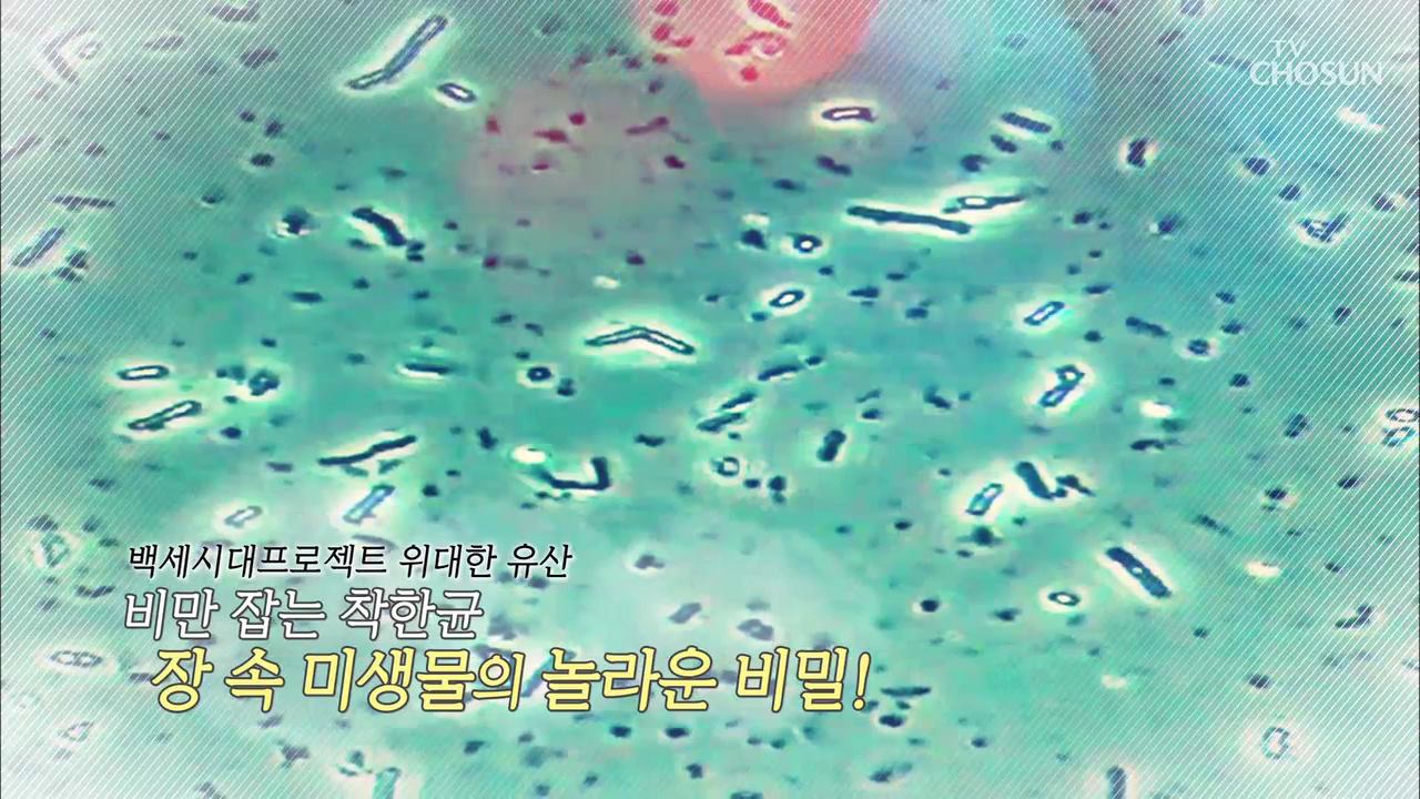 백세시대 프로젝트 위대한 유산 45회 