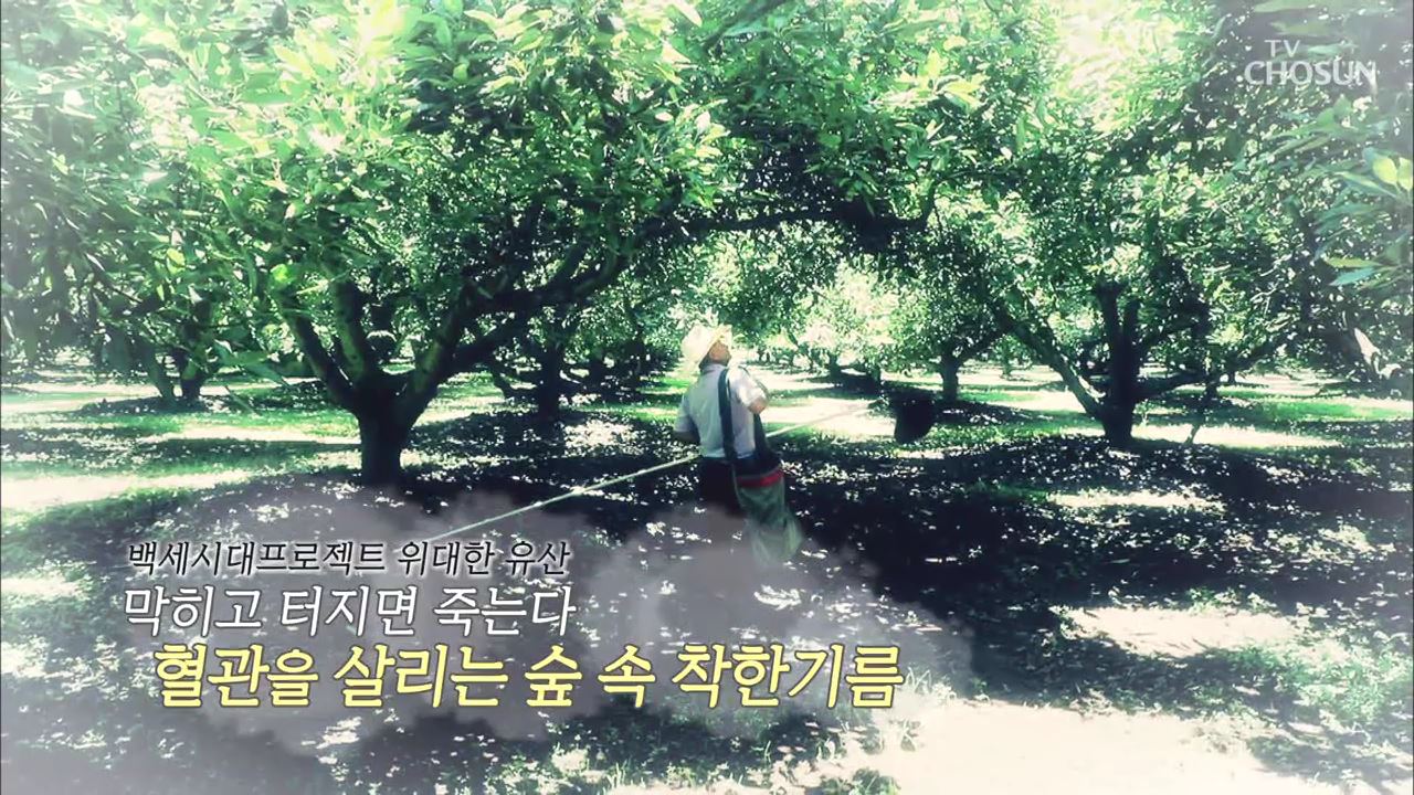 백세시대 프로젝트 위대한 유산 46회
