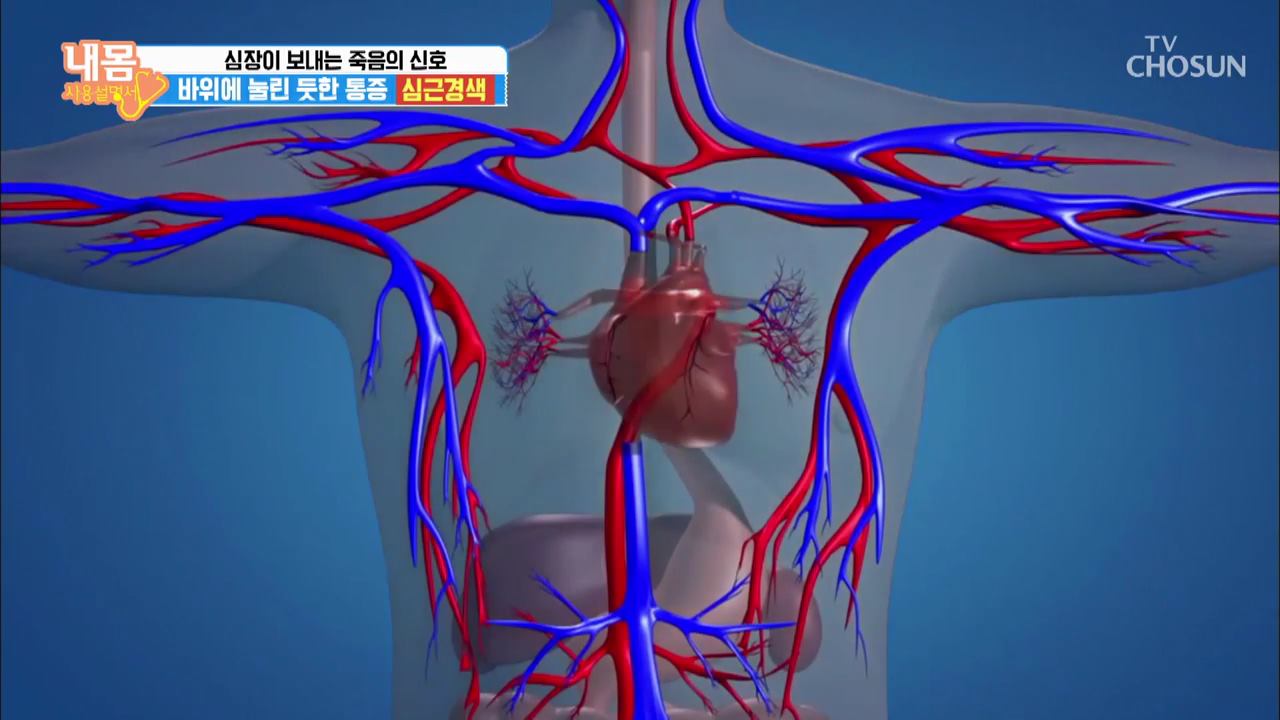 내 몸 사용 설명서 269회