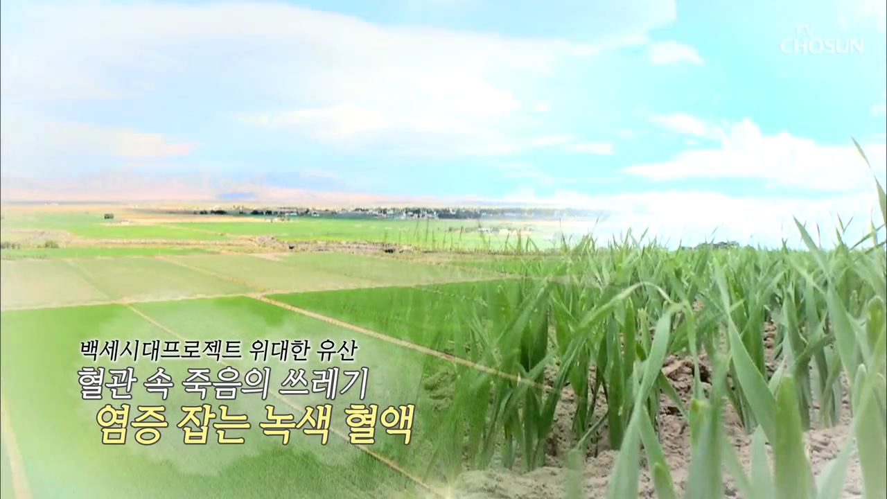 백세시대 프로젝트 위대한 유산 47회 