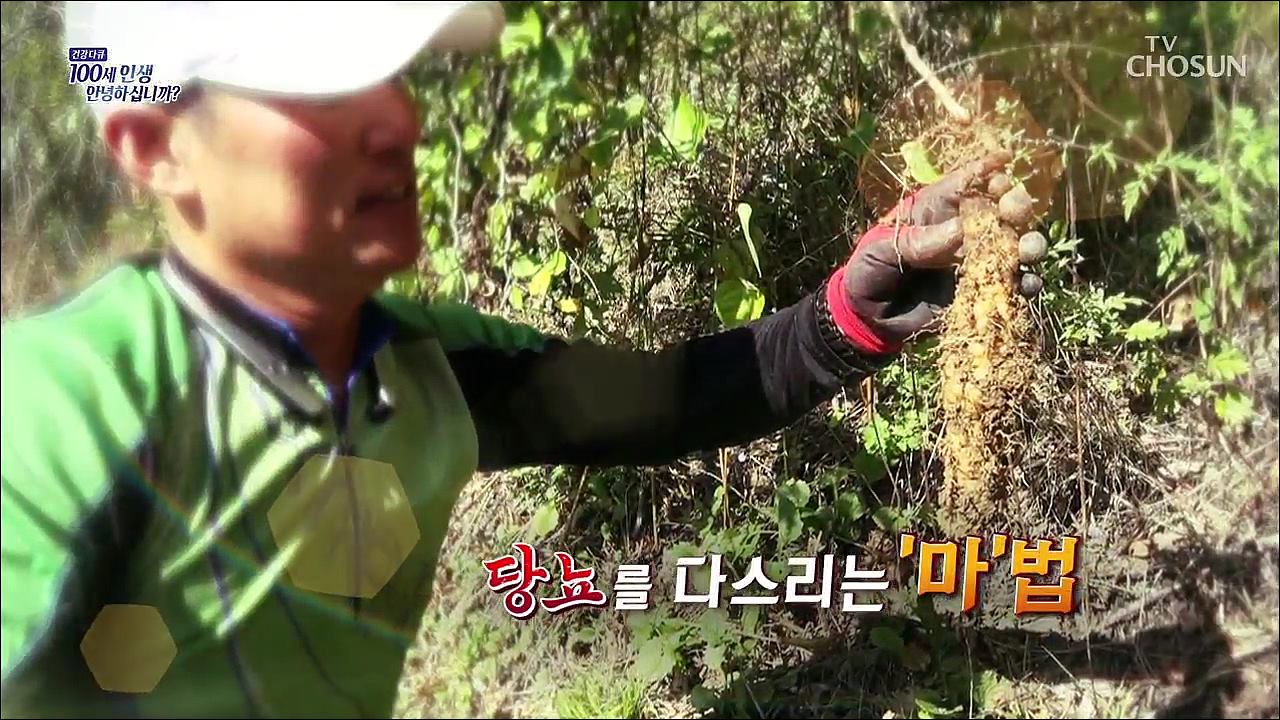 건강다큐 57회 - 당뇨를 다스리는 ‘마’법