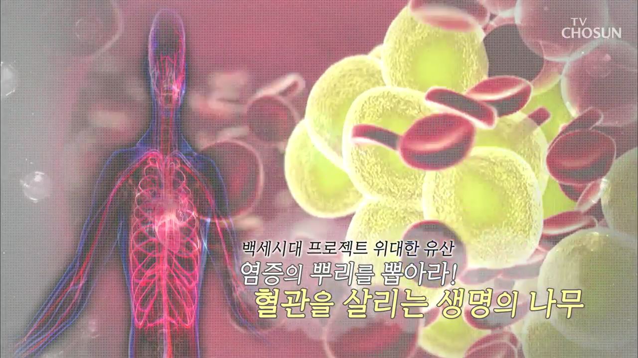 백세시대 프로젝트 위대한 유산 49회 