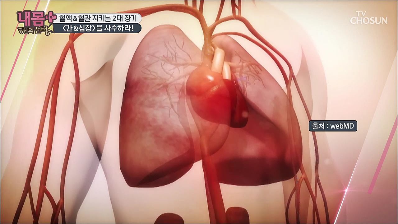 내 몸 플러스 167회