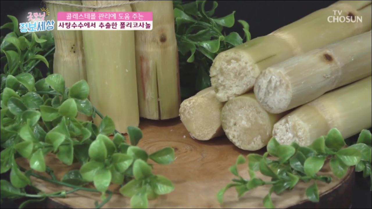 굿모닝 정보세상 92회