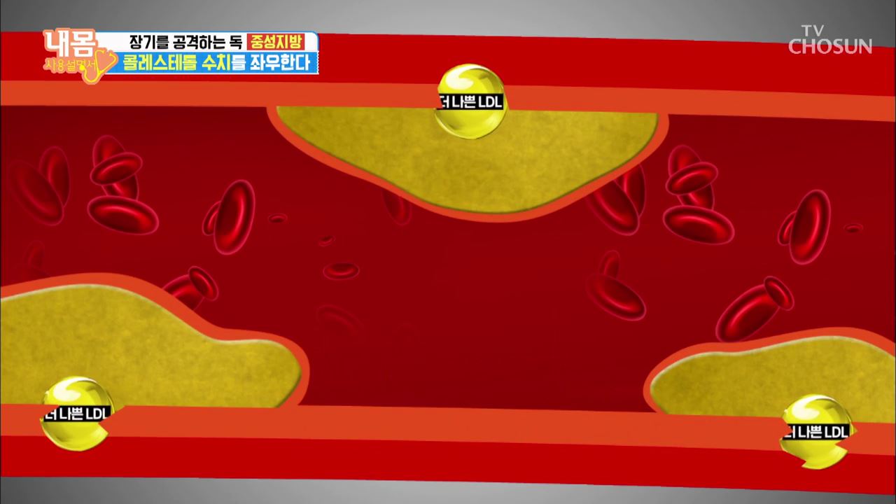 내 몸 사용 설명서 273회