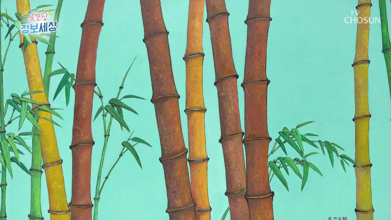 굿모닝 정보세상 96회 
