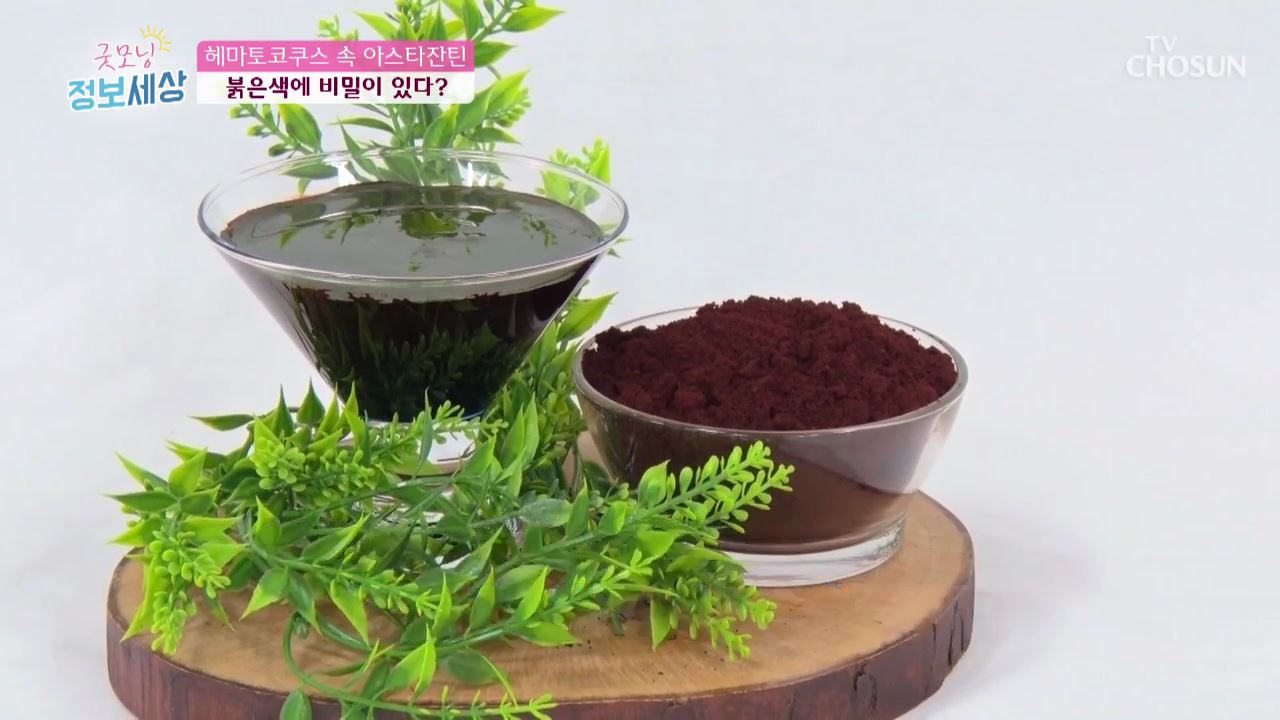 굿모닝 정보세상 98회 