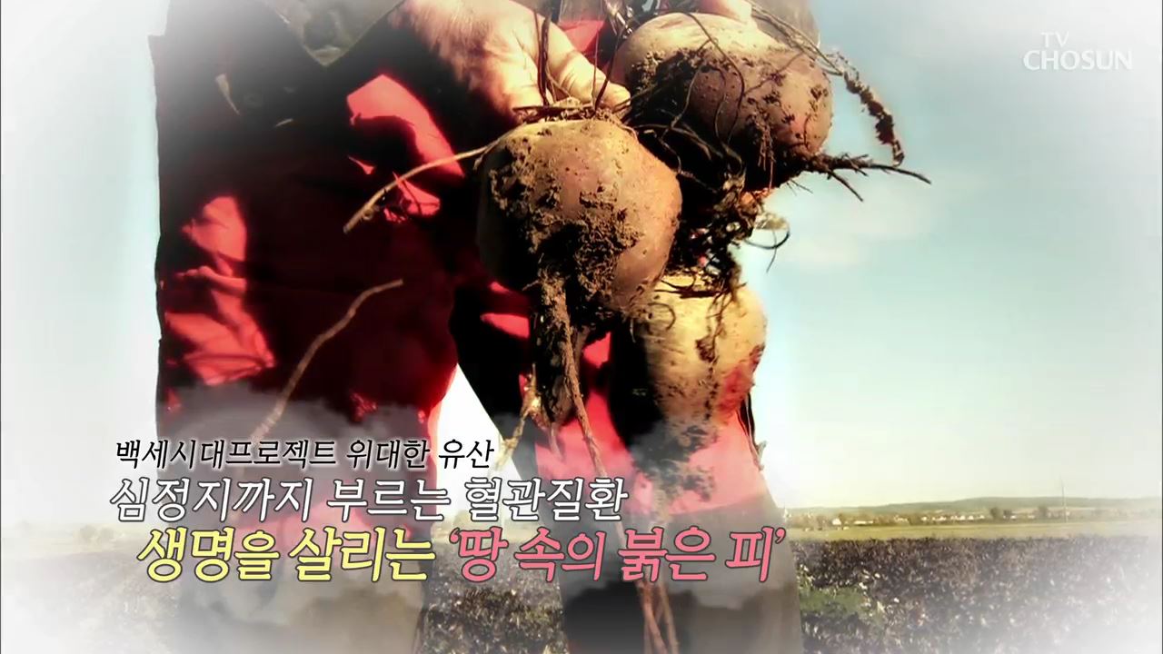 백세시대 프로젝트 위대한 유산 52회 
