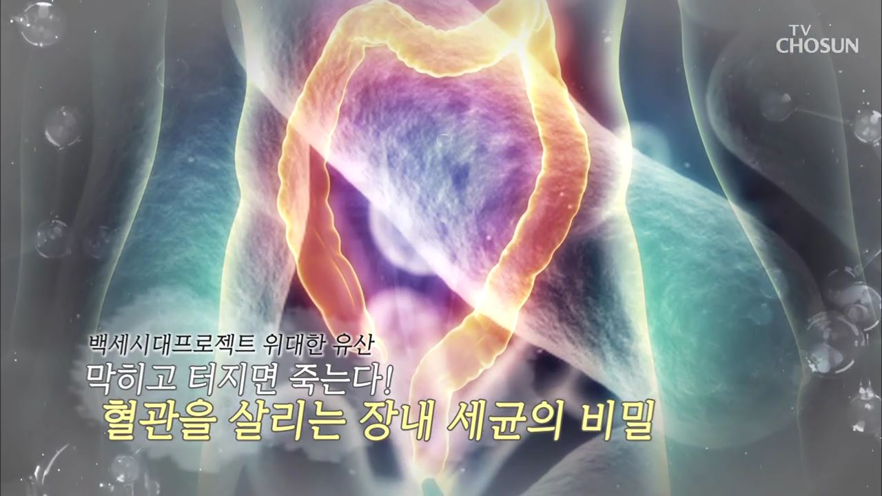 백세시대 프로젝트 위대한 유산 53회