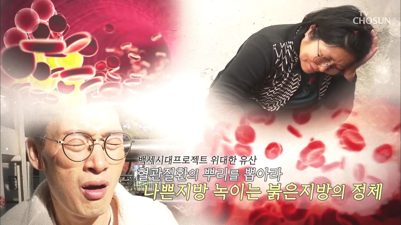 백세시대 프로젝트 위대한 유산 54회